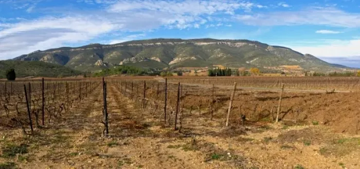 Framed Print : Domaine Bertrand-Berge In Paziols. Fitou. Languedoc. France. Europe. Vineyard. Mountains