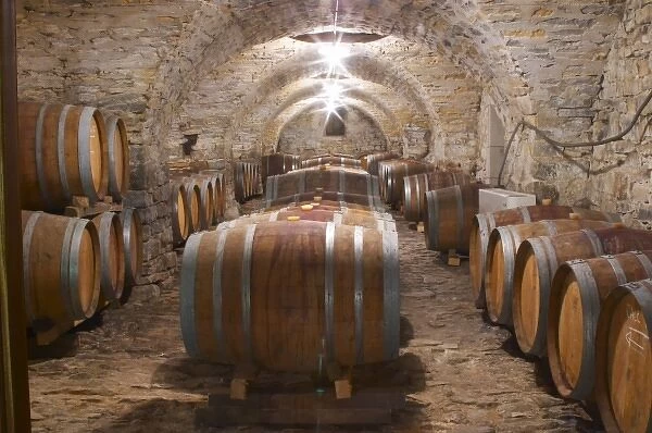 Domaine Cazeneuve in Lauret. Pic St Loup. Languedoc. Barrel cellar. France. Europe