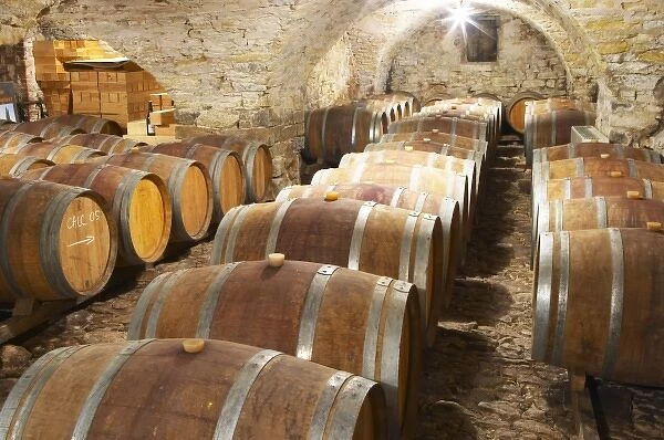 Domaine Cazeneuve in Lauret. Pic St Loup. Languedoc. Barrel cellar. France. Europe
