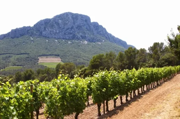 Framed Print : Domaine de l Hortus. The Pic St Loup mountain top peak. Pic St Loup. Languedoc Framed Print : Domaine de l Hortus. The Pic St Loup mountain top peak. Pic St Loup. Languedoc