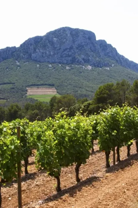 Framed Print : Domaine de l Hortus. The Pic St Loup mountain top peak. Pic St Loup. Languedoc Framed Print : Domaine de l Hortus. The Pic St Loup mountain top peak. Pic St Loup. Languedoc