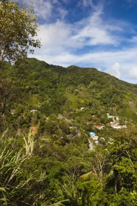 Framed Print : Dominica, Roseau, Grand Bay Area, Petite Savanne town view
