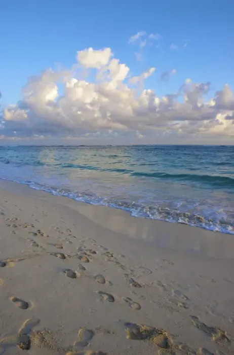 Framed Print : Dominican Republic, La Altagracia, Punta Cana, Bavaro Beach, sunrise