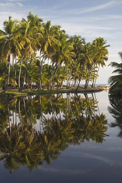 Dominican Republic, North Coast, Nagua, Playa Los Gringos beach, palms