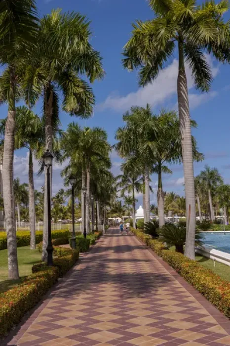 Framed Print : Dominican Republic, Punta Cana, Higuey, Bavaro, Riu Palace, walkway