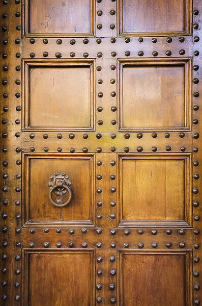 Door detail, Basilica di San Lorenzo, Florence, Tuscany, Italy