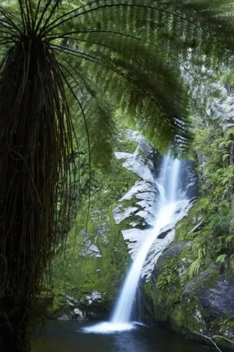 Framed Print : Dorothy Falls, near Lake Kaniere, West Coast, South Island, New Zealand Framed Print : Dorothy Falls, near Lake Kaniere, West Coast, South Island, New Zealand