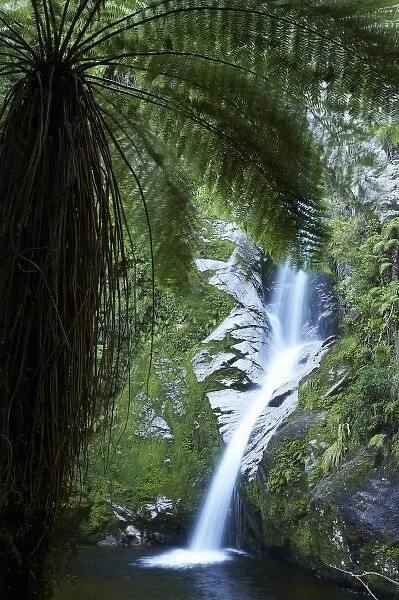 Dorothy Falls, near Lake Kaniere, West Coast, South Island, New Zealand