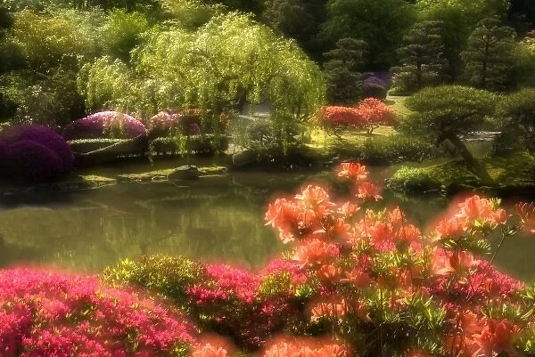 Double Exposure of Japanese Garden and Pond