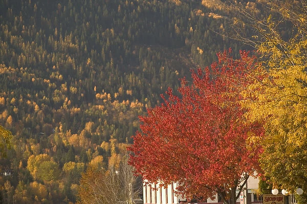 02. CANADA, British Columbia, Nelson. Autumn : Downtown Detail