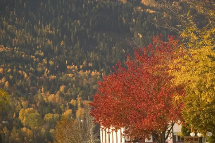 Framed Print : 02. CANADA, British Columbia, Nelson. Autumn : Downtown Detail Framed Print : 02. CANADA, British Columbia, Nelson. Autumn : Downtown Detail