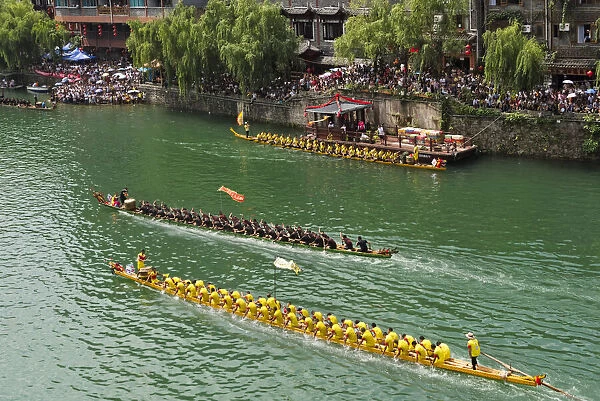 Dragon Boat race on Wuyang River during Duanwu Festival, Zhenyuan, Guizhou Province
