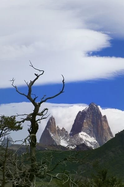 Dramatic clouds over Poincenot and Fitz Roy with nires trees, National Park Los Glaciares