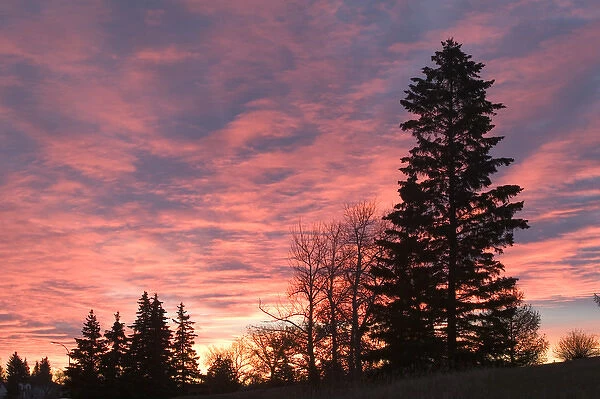 02. Canada, Alberta, Edmonton: Dramatic Sunrise from Forest Heights Park