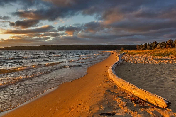Dramatic sunset light on weathered driftwood at Sand Point in Pictured Rocks National Lakeshore