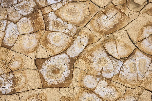 Dried, cracked earth and salt create the patterns on the flats of Death Valley National