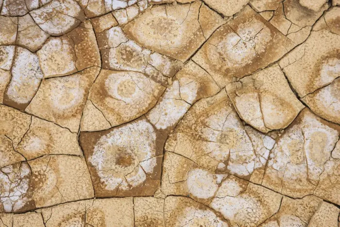 Framed Print : Dried, cracked earth and salt create the patterns on the flats of Death Valley National Framed Print : Dried, cracked earth and salt create the patterns on the flats of Death Valley National