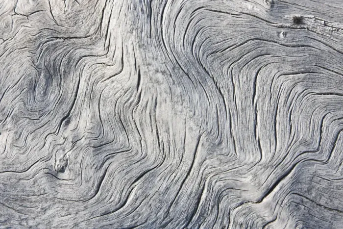 Framed Print : Drift wood pattern, Cape Onman, Chukchi Sea, Russia Far East Framed Print : Drift wood pattern, Cape Onman, Chukchi Sea, Russia Far East