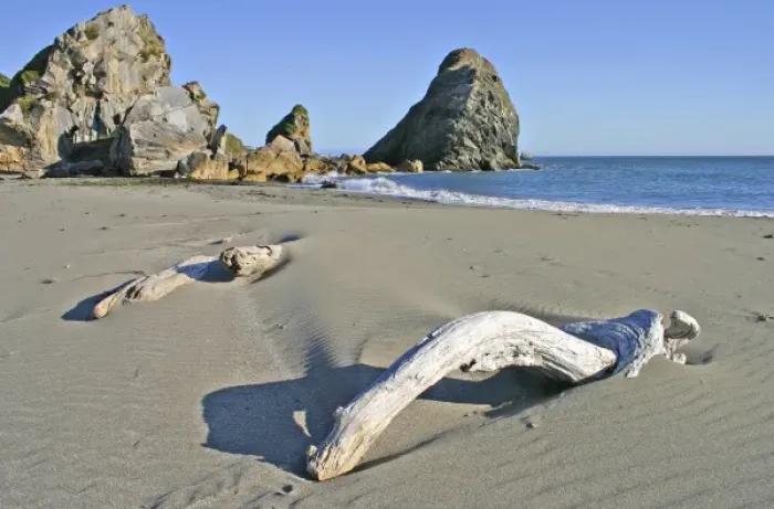 Framed Print : Driftwood and sea stack rock formations at beach in Harris Beach State Park near