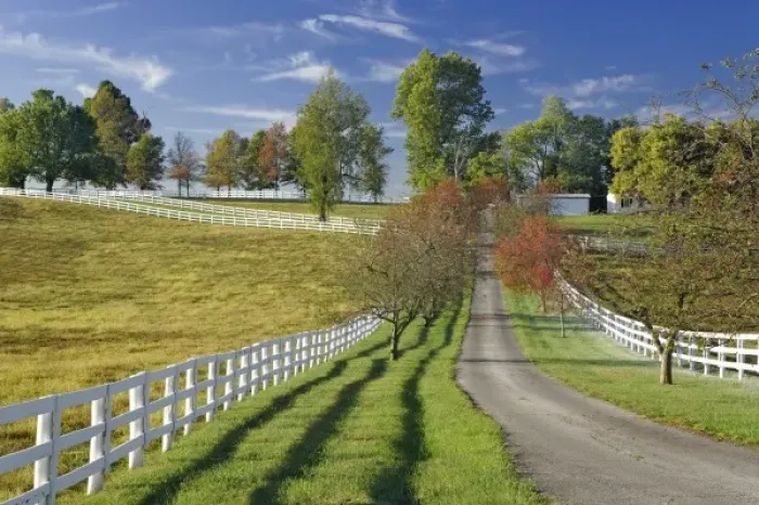 Framed Print : Driveway, Manchester Horse farm, Lexington, Kentucky Framed Print : Driveway, Manchester Horse farm, Lexington, Kentucky