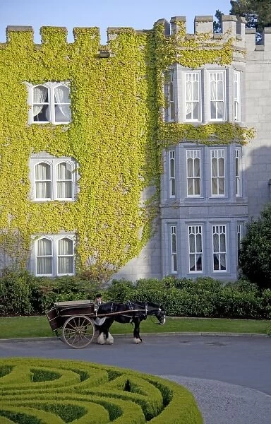 Dromoland Castle Hotel in Ireland with a Coachman stands along side his horse drawn