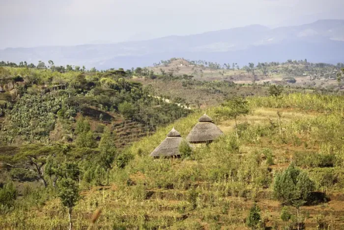 Framed Print : Dry farming on terraces in the steep and mountainous territory of the Konso, Rift valley Framed Print : Dry farming on terraces in the steep and mountainous territory of the Konso, Rift valley