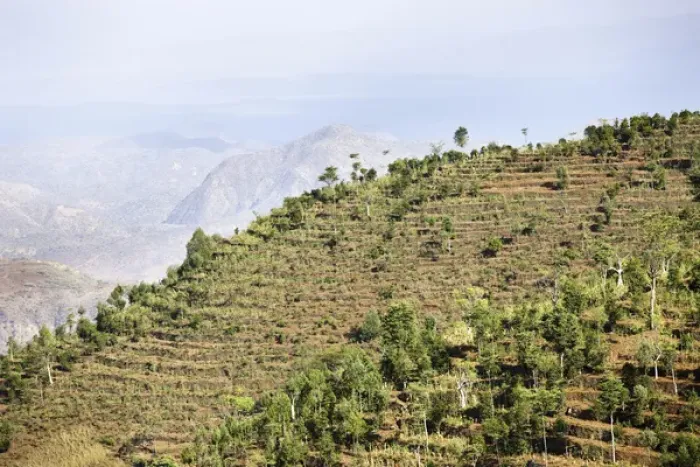 Framed Print : Dry farming on terraces in the steep and mountainous territory of the Konso, Rift valley Framed Print : Dry farming on terraces in the steep and mountainous territory of the Konso, Rift valley