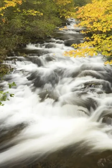 Framed Print : Duck Brook in fall in Maines Acadia National Park