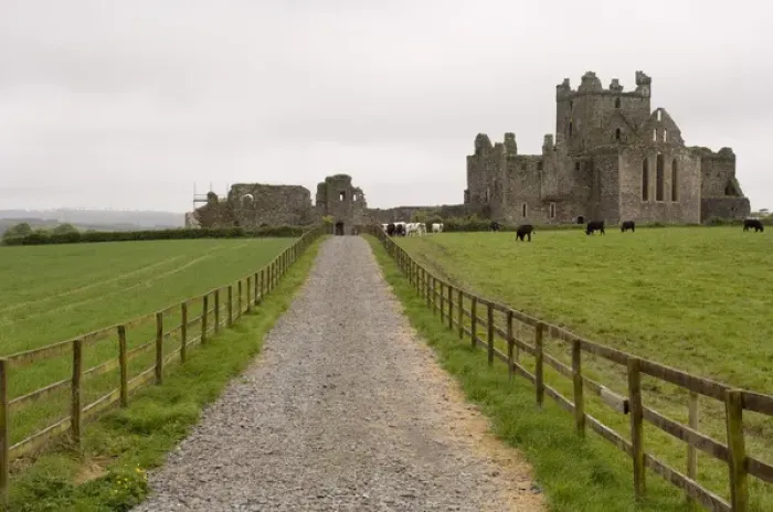 Framed Print : Dunbrody Abbey, Dumbrody, County Wexford, Ireland