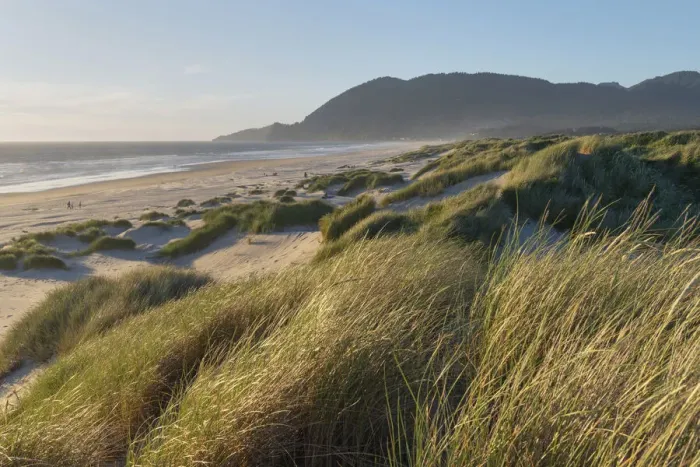 Framed Print : Dunes and dune grass at Nehalem State Park, Oregon