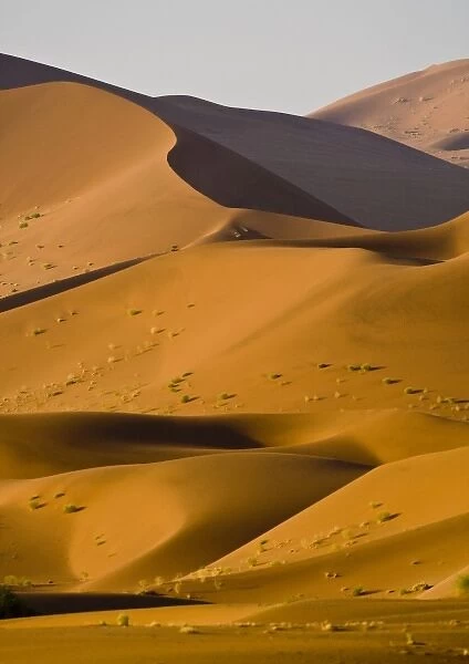 Dunes at Sossusvlei, Namib-Nauklift NP, Namibia