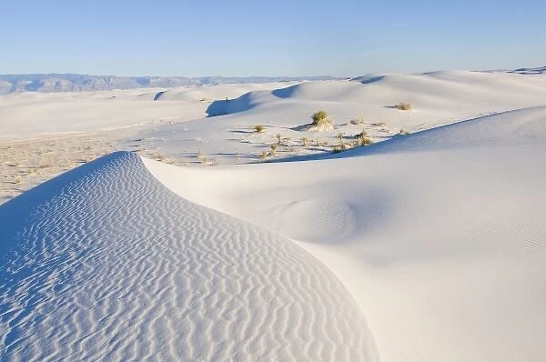 Dynamic landscape of 275 square miles of glistening white gypsum sand dunes in the
