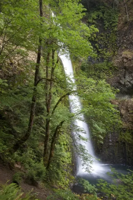 Framed Print : Eagle Creek waterfalls