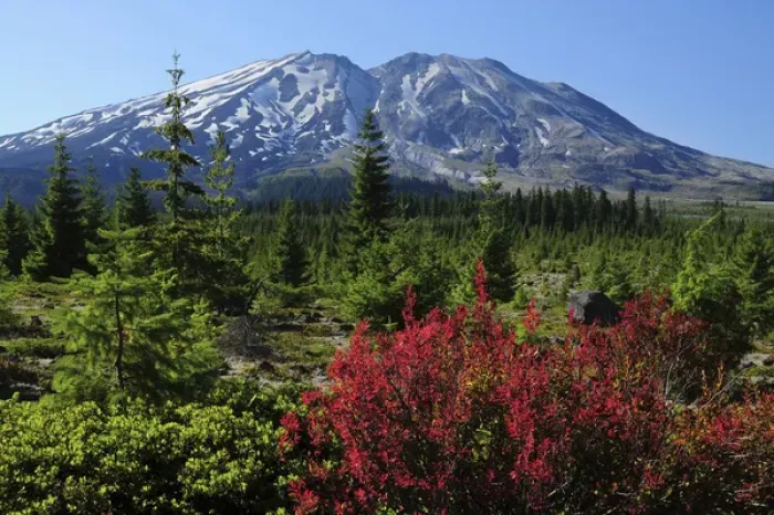 Framed Print : Early Autumn, Lahar, Mount St. Helen, Mount St. Helen Wildernesss, Washington, USA Framed Print : Early Autumn, Lahar, Mount St. Helen, Mount St. Helen Wildernesss, Washington, USA