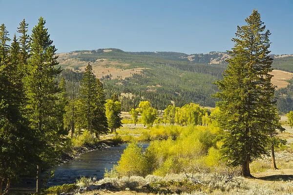 early autumn; Lamar River Valley; Yellowstone National Park; Wyoming; USA
