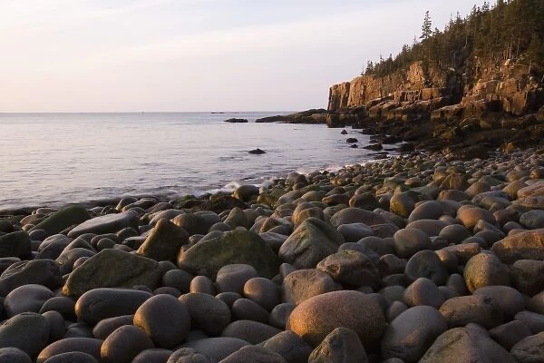 Early morning on the cobblestone beach in Momument Cove in Maines Acadia National Park