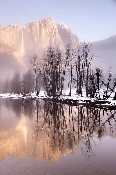 Early morning misty colors in the valley. Yosemite, California, US