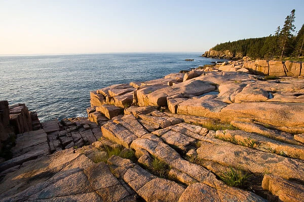 Early morning on the pink granite ledges of the rocky coast of Maine USA