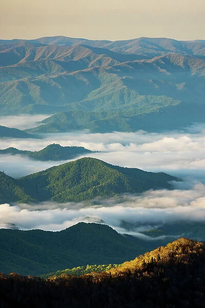 Early morning spring view of mountains and mist, from Clingmans Dome area, Great Smoky Mountains National Park, North Carolina