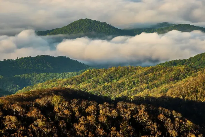 Framed Print : Early morning spring view of mountains and mist, from Clingmans Dome area, Great Smoky Mountains National Park, North Carolina Framed Print : Early morning spring view of mountains and mist, from Clingmans Dome area, Great Smoky Mountains National Park, North Carolina