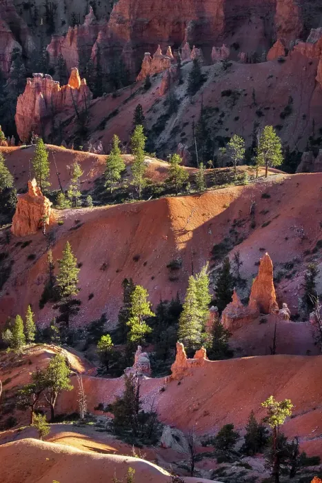 Framed Print : Early morning view of hoodoo formations Bryce Canyon National Park, Utah