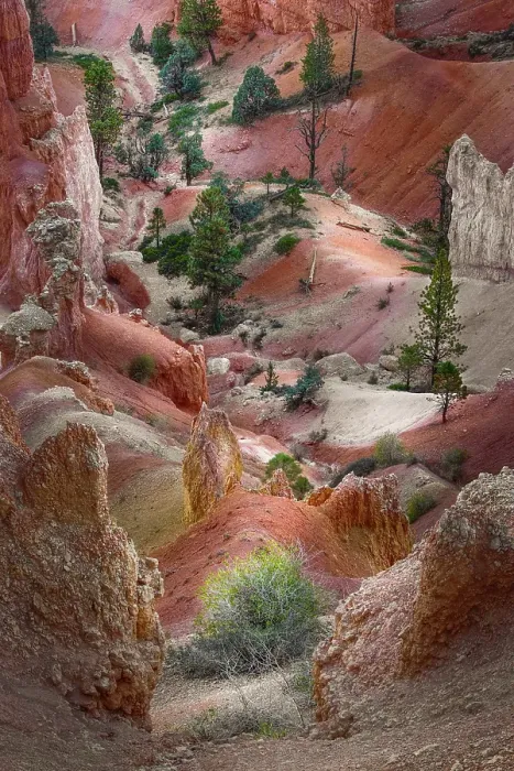 Framed Print : Early morning view of hoodoo formations Bryce Canyon National Park, Utah Framed Print : Early morning view of hoodoo formations Bryce Canyon National Park, Utah