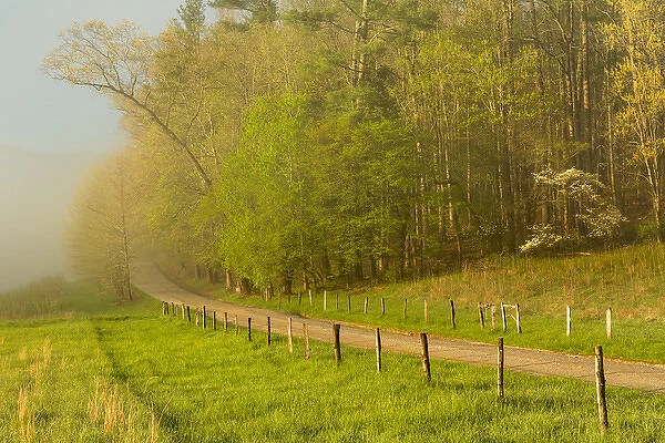 Early morning view of Hyatt Lane, Cades Cove, Great Smoky Mountains National Park
