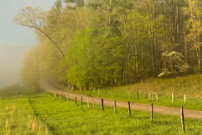 Framed Print : Early morning view of Hyatt Lane, Cades Cove, Great Smoky Mountains National Park
