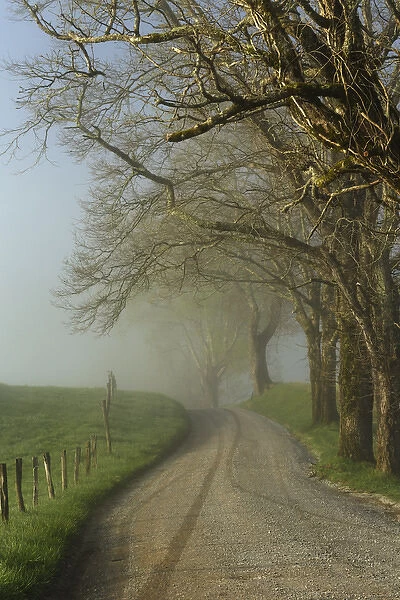 Early morning view of Sparks Lane, Cades Cove, Great Smoky Mountains National Park