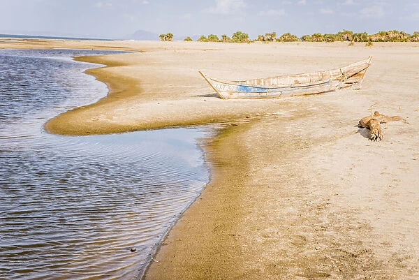 East Africa, Kenya. Omo River Basin, Lake Turkana Basin, west shore of Lake Turkana