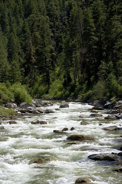 The East Fork of the South Fork of the Salmon River near Yellow Pine, Idaho