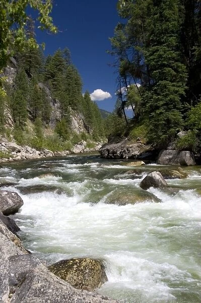 The East Fork of the South Fork of the Salmon River near Yellow Pine, Idaho