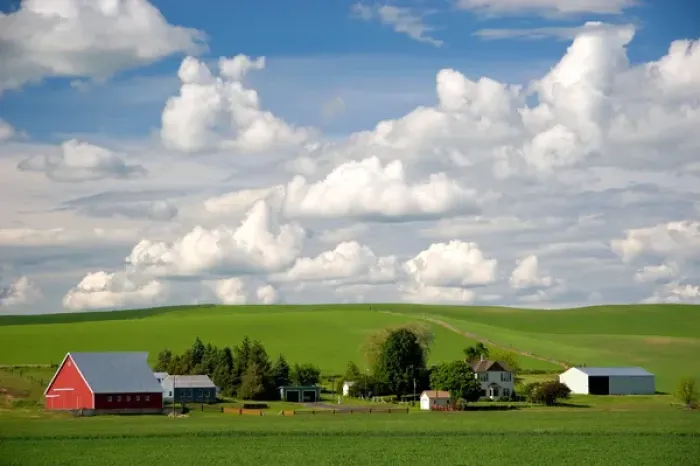 Framed Print : Eastern washington wheat farm with rolling hills and clouds Framed Print : Eastern washington wheat farm with rolling hills and clouds