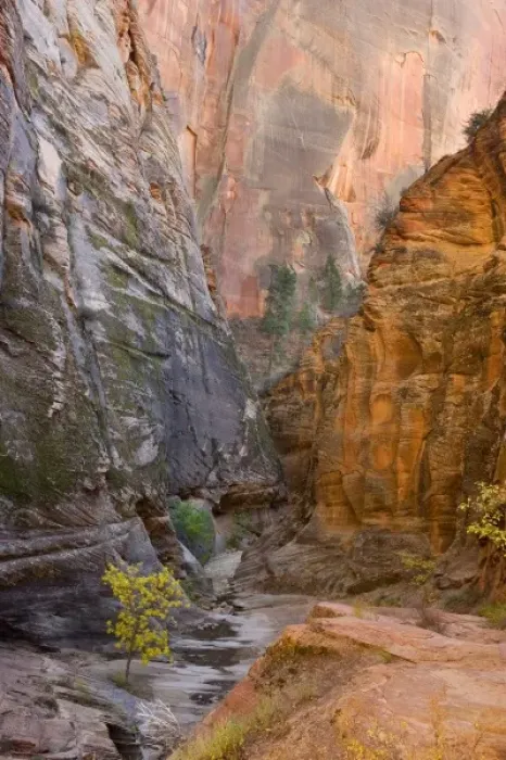 Framed Print : Echo Canyon, East Rim Trail, Zion National Park, near St. George, Utah Framed Print : Echo Canyon, East Rim Trail, Zion National Park, near St. George, Utah